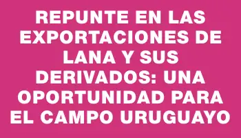 Repunte en las exportaciones de lana y sus derivados: una oportunidad para el campo uruguayo