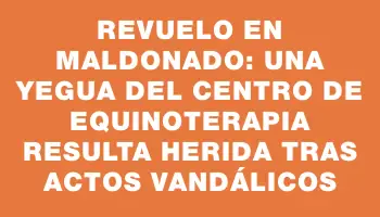 Revuelo en Maldonado: una yegua del centro de equinoterapia resulta herida tras actos vandálicos