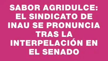 Sabor agridulce: el sindicato de Inau se pronuncia tras la interpelación en el Senado