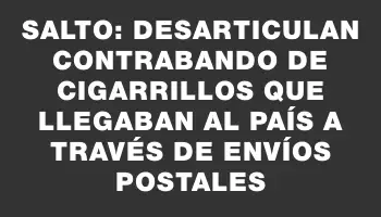 Salto: Desarticulan contrabando de cigarrillos que llegaban al país a través de envíos postales