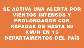 Se activa una alerta por vientos intensos y prolongados con ráfagas de hasta 80 km/h en 15 departamentos del país