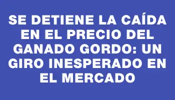 Se detiene la caída en el precio del ganado gordo: un giro inesperado en el mercado