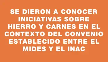 Se dieron a conocer iniciativas sobre hierro y carnes en el contexto del convenio establecido entre el Mides y el Inac