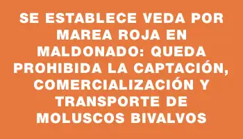 Se establece veda por marea roja en Maldonado: queda prohibida la captación, comercialización y transporte de moluscos bivalvos