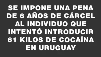 Se impone una pena de 6 años de cárcel al individuo que intentó introducir 61 kilos de cocaína en Uruguay