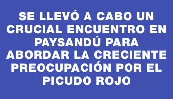 Se llevó a cabo un crucial encuentro en Paysandú para abordar la creciente preocupación por el Picudo Rojo