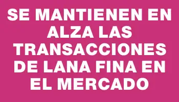 Se mantienen en alza las transacciones de lana fina en el mercado