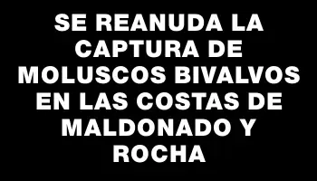 Se reanuda la captura de moluscos bivalvos en las costas de Maldonado y Rocha