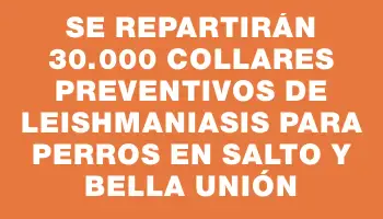 Se repartirán 30.000 collares preventivos de leishmaniasis para perros en Salto y Bella Unión