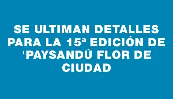 Se ultiman detalles para la 15ª edición de 