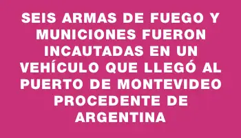 Seis armas de fuego y municiones fueron incautadas en un vehículo que llegó al Puerto de Montevideo procedente de Argentina