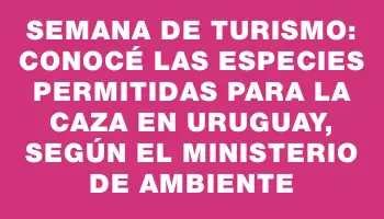 Semana de Turismo: Conocé las especies permitidas para la caza en Uruguay, según el Ministerio de Ambiente