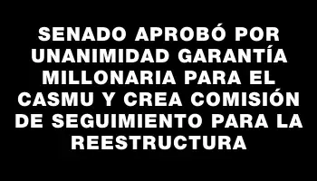 Senado aprobó por unanimidad garantía millonaria para el Casmu y crea comisión de seguimiento para la reestructura