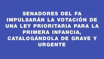 Senadores del Fa impulsarán la votación de una ley prioritaria para la primera infancia, catalogándola de grave y urgente