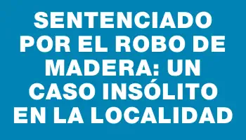 Sentenciado por el robo de madera: un caso insólito en la localidad