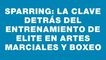 Sparring: la clave detrás del entrenamiento de elite en artes marciales y boxeo