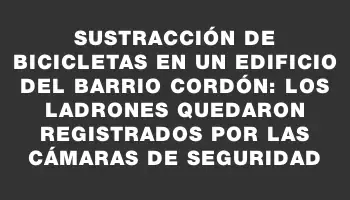 Sustracción de bicicletas en un edificio del barrio Cordón: los ladrones quedaron registrados por las cámaras de seguridad