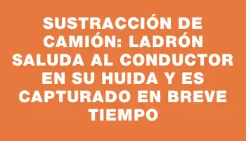 Sustracción de camión: ladrón saluda al conductor en su huida y es capturado en breve tiempo