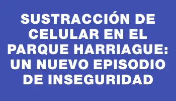 Sustracción de celular en el Parque Harriague: un nuevo episodio de inseguridad