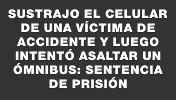 Sustrajo el celular de una víctima de accidente y luego intentó asaltar un ómnibus: sentencia de prisión