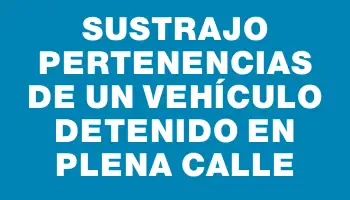 Sustrajo pertenencias de un vehículo detenido en plena calle