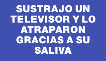 Sustrajo un televisor y lo atraparon gracias a su saliva