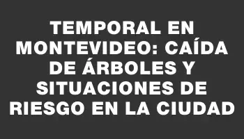 Temporal en Montevideo: caída de árboles y situaciones de riesgo en la ciudad