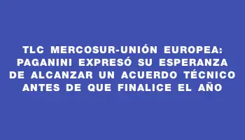 Tlc Mercosur-Unión Europea: Paganini expresó su esperanza de alcanzar un acuerdo técnico antes de que finalice el año