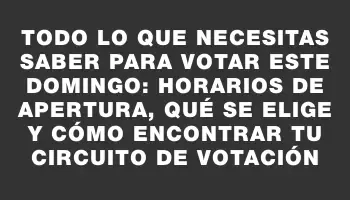 Todo lo que necesitas saber para votar este domingo: horarios de apertura, qué se elige y cómo encontrar tu circuito de votación