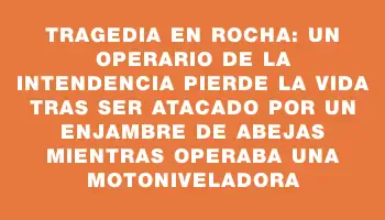 Tragedia en Rocha: un operario de la Intendencia pierde la vida tras ser atacado por un enjambre de abejas mientras operaba una motoniveladora