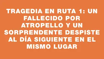 Tragedia en Ruta 1: Un fallecido por atropello y un sorprendente despiste al día siguiente en el mismo lugar