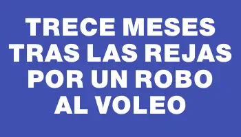 Trece meses tras las rejas por un robo al voleo