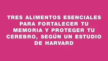 Tres alimentos esenciales para fortalecer tu memoria y proteger tu cerebro, según un estudio de Harvard