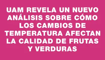 Uam revela un nuevo análisis sobre cómo los cambios de temperatura afectan la calidad de frutas y verduras