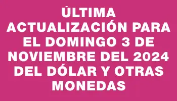 Última actualización para el Domingo 3 de noviembre del 2024 del dólar y otras monedas