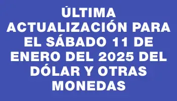 Última actualización para el Sábado 11 de enero del 2025 del dólar y otras monedas