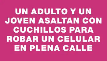 Un adulto y un joven asaltan con cuchillos para robar un celular en plena calle