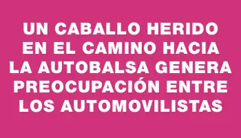 Un caballo herido en el camino hacia la Autobalsa genera preocupación entre los automovilistas