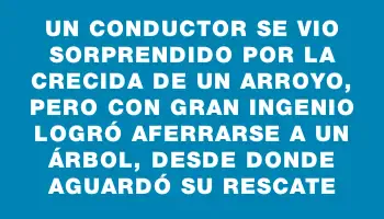 Un conductor se vio sorprendido por la crecida de un arroyo, pero con gran ingenio logró aferrarse a un árbol, desde donde aguardó su rescate