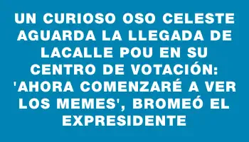 Un curioso oso celeste aguarda la llegada de Lacalle Pou en su centro de votación: 