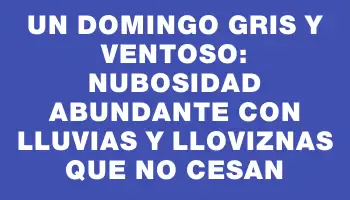 Un domingo gris y ventoso: nubosidad abundante con lluvias y lloviznas que no cesan