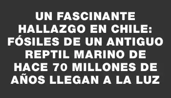 Un fascinante hallazgo en Chile: fósiles de un antiguo reptil marino de hace 70 millones de años llegan a la luz