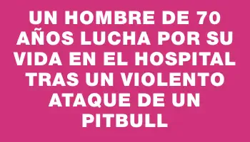 Un hombre de 70 años lucha por su vida en el hospital tras un violento ataque de un pitbull