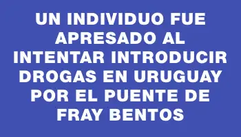 Un individuo fue apresado al intentar introducir drogas en Uruguay por el puente de Fray Bentos