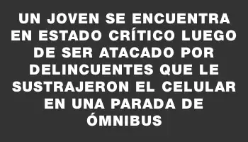 Un joven se encuentra en estado crítico luego de ser atacado por delincuentes que le sustrajeron el celular en una parada de ómnibus