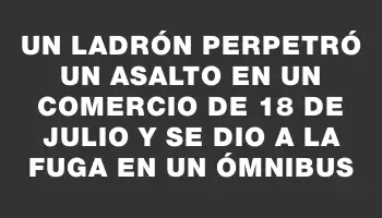 Un ladrón perpetró un asalto en un comercio de 18 de Julio y se dio a la fuga en un ómnibus