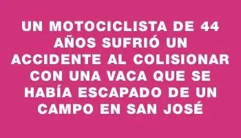 Un motociclista de 44 años sufrió un accidente al colisionar con una vaca que se había escapado de un campo en San José