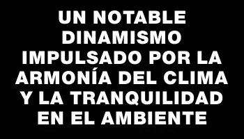 Un notable dinamismo impulsado por la armonía del clima y la tranquilidad en el ambiente