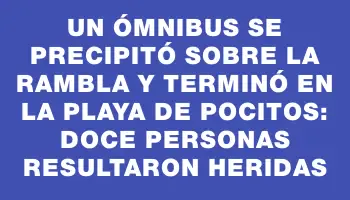 Un ómnibus se precipitó sobre la rambla y terminó en la playa de Pocitos: doce personas resultaron heridas