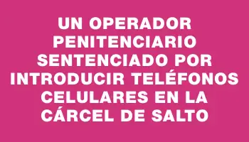 Un operador penitenciario sentenciado por introducir teléfonos celulares en la cárcel de Salto